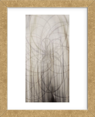 Weave (Framed) -  Candice Alford - McGaw Graphics