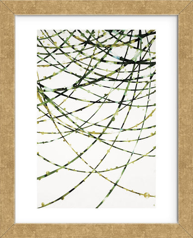 Moss Vine (Framed) -  Candice Alford - McGaw Graphics