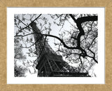 Eiffel III (Framed) -  Tom Artin - McGaw Graphics