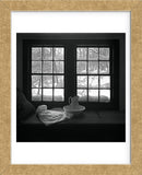 Window Seat Blizzard (Framed) -  Tom Artin - McGaw Graphics