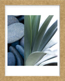 Desert Zen I (Framed) -  Sidney Aver - McGaw Graphics