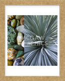 Desert Zen IV (Framed) -  Sidney Aver - McGaw Graphics