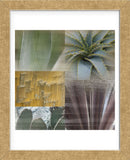 Desert Gaze (Framed) -  Sidney Aver - McGaw Graphics