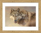 Wolf Portrait  (Framed) -  Kalon Baughan - McGaw Graphics