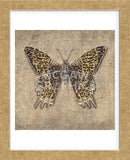 Leopard Butterfly  (Framed) -  Jennette Brice - McGaw Graphics