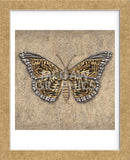 Tiger Butterfly  (Framed) -  Jennette Brice - McGaw Graphics