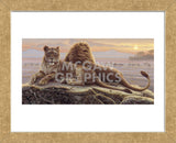 Lions of the Mara  (Framed) -  Kalon Baughan - McGaw Graphics