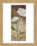 Spring Splendor  (Framed) -  Onan Balin - McGaw Graphics