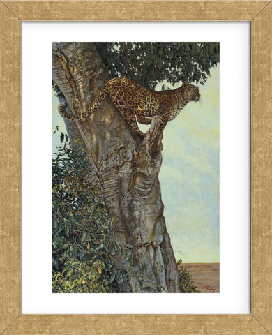On the Lookout  (Framed) -  Kalon Baughan - McGaw Graphics