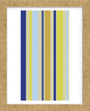 Kiwi Stripe (Framed) -  Dan Bleier - McGaw Graphics
