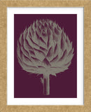 Artichoke (plum-grey) (Framed) -  Botanical Series - McGaw Graphics