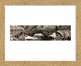 Central Park Bridges (tryptych) (Framed) -  Chris Bliss - McGaw Graphics