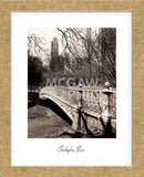 Central Park Bridges 2 (Framed) -  Chris Bliss - McGaw Graphics