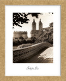 Central Park Bridges 1 (Framed) -  Chris Bliss - McGaw Graphics