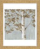 Birch Study I (Framed) -  Daphné B - McGaw Graphics