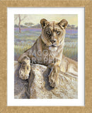 Serengeti Lioness  (Framed) -  Kalon Baughan - McGaw Graphics