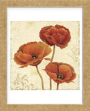 Poppy Bouquet II (Framed) -  Daphné B - McGaw Graphics