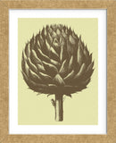 Artichoke 3 (Framed) -  Botanical Series - McGaw Graphics