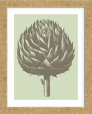 Artichoke 11 (Framed) -  Botanical Series - McGaw Graphics