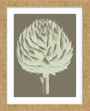 Artichoke 12 (Framed) -  Botanical Series - McGaw Graphics