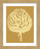 Artichoke 20 (Framed) -  Botanical Series - McGaw Graphics