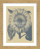 Sunflower 1 (Framed) -  Botanical Series - McGaw Graphics