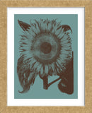 Sunflower 5 (Framed) -  Botanical Series - McGaw Graphics