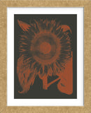 Sunflower 10 (Framed) -  Botanical Series - McGaw Graphics