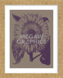 Sunflower 14 (Framed) -  Botanical Series - McGaw Graphics