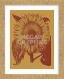Sunflower 15 (Framed) -  Botanical Series - McGaw Graphics