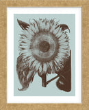 Sunflower 18 (Framed) -  Botanical Series - McGaw Graphics