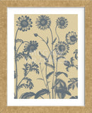 Chrysanthemum 1 (Framed) -  Botanical Series - McGaw Graphics