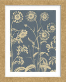 Chrysanthemum 2 (Framed) -  Botanical Series - McGaw Graphics