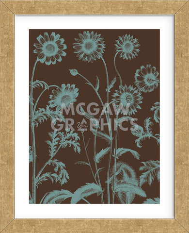Chrysanthemum 6 (Framed) -  Botanical Series - McGaw Graphics
