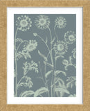 Chrysanthemum 7 (Framed) -  Botanical Series - McGaw Graphics