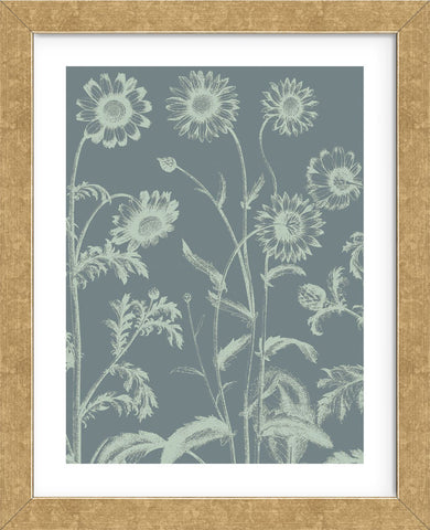 Chrysanthemum 7 (Framed) -  Botanical Series - McGaw Graphics