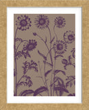 Chrysanthemum 14 (Framed) -  Botanical Series - McGaw Graphics