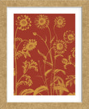Chrysanthemum 16 (Framed) -  Botanical Series - McGaw Graphics