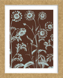 Chrysanthemum 17 (Framed) -  Botanical Series - McGaw Graphics
