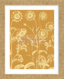 Chrysanthemum 20 (Framed) -  Botanical Series - McGaw Graphics