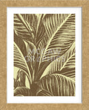 Leaf 4 (Framed) -  Botanical Series - McGaw Graphics