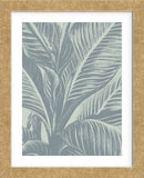 Leaf 8 (Framed) -  Botanical Series - McGaw Graphics