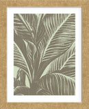 Leaf 11 (Framed) -  Botanical Series - McGaw Graphics