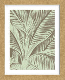 Leaf 12 (Framed) -  Botanical Series - McGaw Graphics