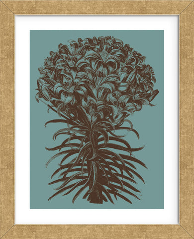 Lilies 5 (Framed) -  Botanical Series - McGaw Graphics