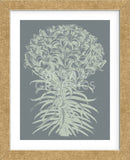 Lilies 7 (Framed) -  Botanical Series - McGaw Graphics