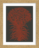 Lilies 10 (Framed) -  Botanical Series - McGaw Graphics