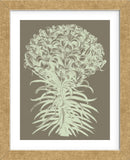 Lilies 12 (Framed) -  Botanical Series - McGaw Graphics