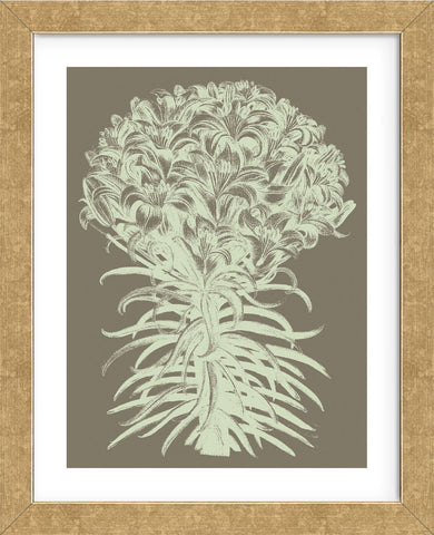 Lilies 12 (Framed) -  Botanical Series - McGaw Graphics