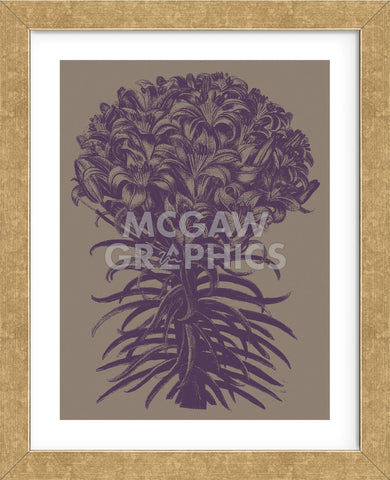 Lilies 14 (Framed) -  Botanical Series - McGaw Graphics
